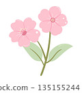 Pastel Cherry Blossom, Bloom and Green Leaves Hand-Drawn 135155244