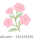 Pastel Cherry Blossom, Bloom and Green Leaves Hand-Drawn 135155245