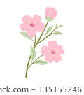 Pastel Cherry Blossom, Bloom and Green Leaves Hand-Drawn 135155246