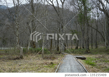 Gunma Prefecture_Oze_Oshimizu Marsh Gunma Prefecture_Oze_Oshimizu Marsh 135155409