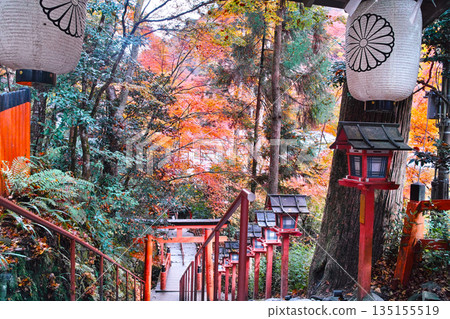Stairs leading down from the main shrine to the inner shrine at Kifune Shrine in the autumn foliage season in Sakyo Ward, Kyoto City Stairs leading down from the main shrine to the inner shrine at Kifune Shrine in the autumn foliage season in Sakyo Ward, Kyoto City 135155519