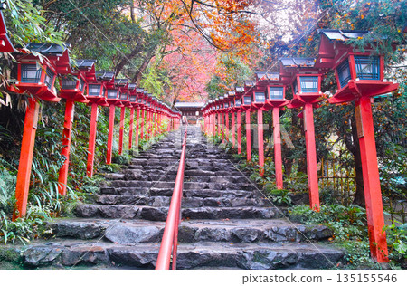 京都市左京區，秋色正濃時，雨水浸透了通往貴船神社的道路。 135155546