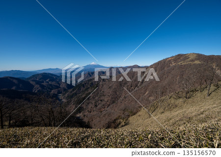 神奈川縣的戶之岳和丹澤岳 135156570