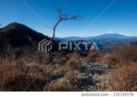 Mount Tono and Mount Tanzawa, Kanagawa Prefecture 135156576