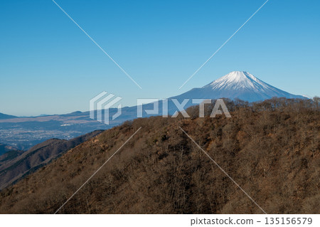 神奈川縣的戶之岳和丹澤岳 135156579