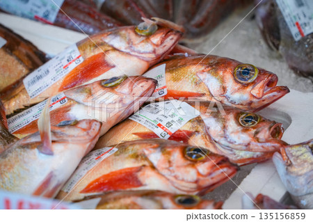 新潟縣_萬代島鮮魚中心_岩魚 135156859