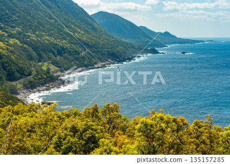 Fresh green forest and sea, Western forest road area, Yakushima, World Natural Heritage Site (Spring) 135157285