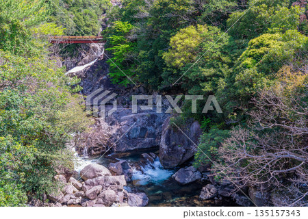 Fresh green mountains and rivers in the Western Forest Road area of Yakushima, a World Heritage Site (Spring) Fresh green mountains and rivers in the Western Forest Road area of Yakushima, a World Heritage Site (Spring) 135157343