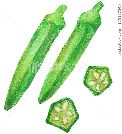 秋葵油畫棒插畫 135157349