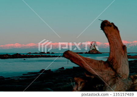 The female rocks peeking through the driftwood and the Tateyama mountain range dyed in the sunset 135157489