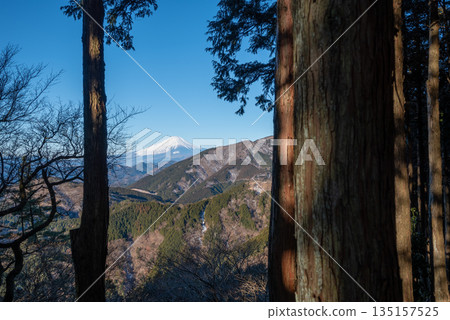 Climbing Mt. Oyama, Kanagawa Prefecture Climbing Mt. Oyama, Kanagawa Prefecture 135157525