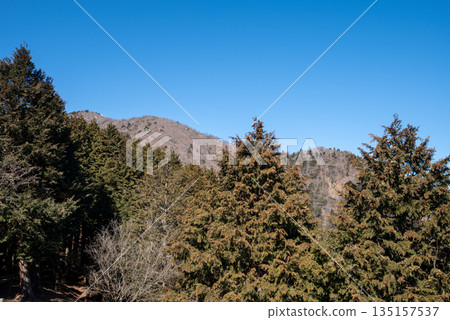 Climbing Mt. Oyama, Kanagawa Prefecture Climbing Mt. Oyama, Kanagawa Prefecture 135157537