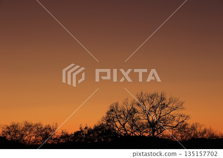 The setting sunset The setting sunset 135157702