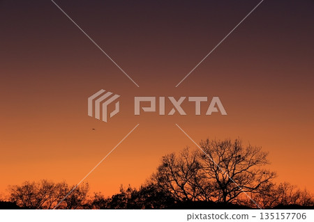 The setting sunset 135157706