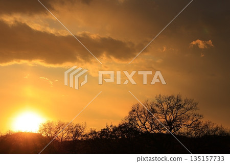 The setting sunset 135157733