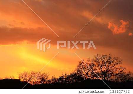 The setting sunset 135157752