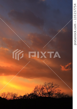 The setting sunset 135157754