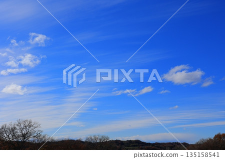 White clouds in the blue sky in winter White clouds in the blue sky in winter 135158541
