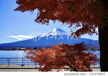 秋季富士山紅葉季 秋季富士山紅葉季 135158867