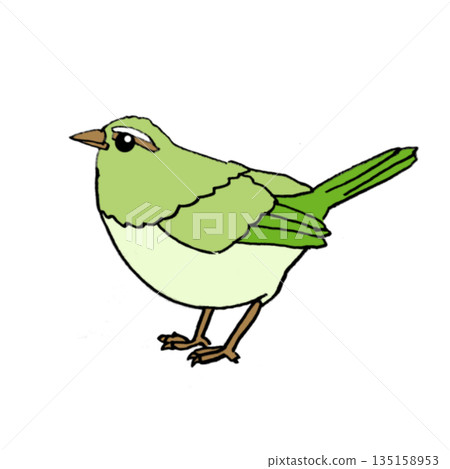Birds that herald the arrival of spring: Japanese white-eye, Japanese bush warbler, cute hand-drawn illustration Birds that herald the arrival of spring: Japanese white-eye, Japanese bush warbler, cute hand-drawn illustration 135158953