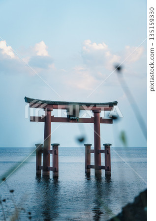 透過草叢可以看到琵琶湖畔白須神社的鳥居。 135159330