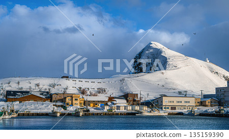 利尻島的冬季景色、白雪皚皚的利尻富士山以及寧靜的港口小鎮 135159390