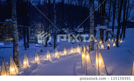 冬日寧格爾露台：神秘的光之森林（富良野） 135159391