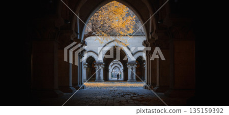 東京大學校園的秋日走廊 135159392