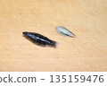 Sappanoginka and sardine koban 135159476