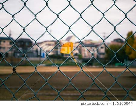 Ginkgo leaf stuck in the fence Ginkgo leaf stuck in the fence 135160044