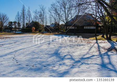 Thatched roof and snow scene 135160139