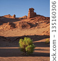Majestic Desert Landscape with Unique Rock Formation and Green Bush 135160306