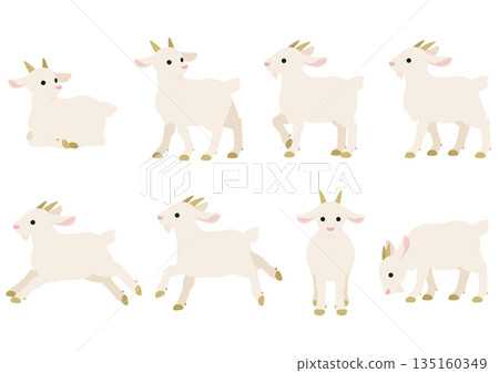 White goat pose set / vector illustration material (8 poses) 135160349