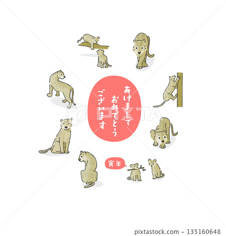 時尚的虎年插畫 135160648