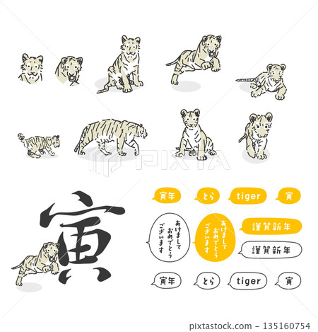 Stylish Year of the Tiger illustration collection Stylish Year of the Tiger illustration collection 135160754