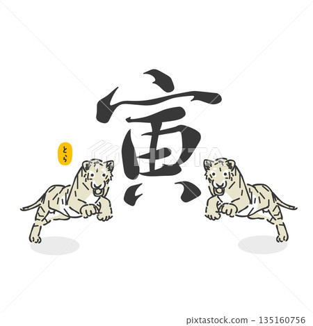 時尚的虎年插畫 135160756