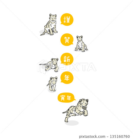 時尚的虎年插畫 135160760