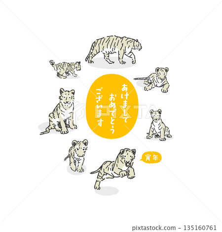 時尚的虎年插畫 135160761