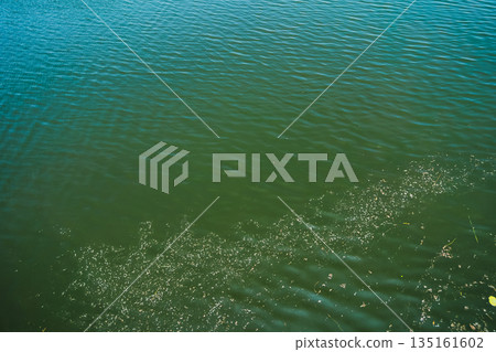float, water, scape 135161602