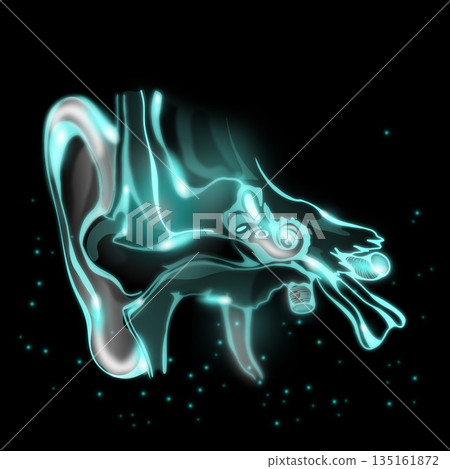 Human ear illustration 135161872