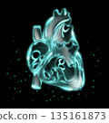 人體心臟示意圖 135161873