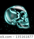 人類頭骨插圖 135161877