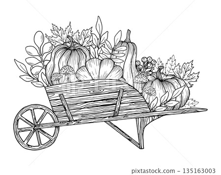 Wooden garden wheelbarrow with pumpkins, maple leaf, mushrooms, berries. Hand drawn vector graphics. Simple black graphic drawing of a vegetable cart. Outline illustration for Thanksgiving, harvest 135163003