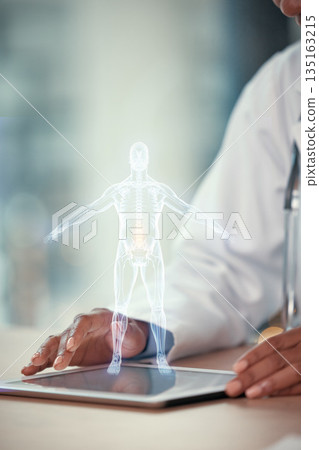 Tablet, digital hologram and doctor hands for anatomy, human body and futuristic research in 3D. Technology, holographic and medical person in augmented reality for x ray, skeleton or spine solution 135163215