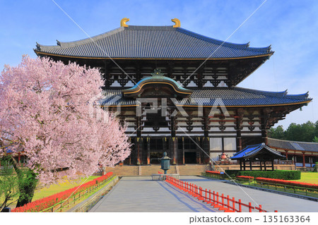 [奈良縣]東大寺大佛堂櫻花盛開（奈良公園） 135163364