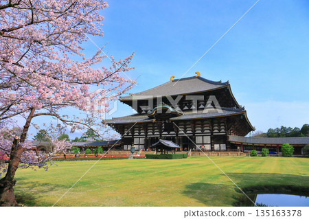[奈良縣]東大寺大佛堂櫻花盛開（奈良公園） 135163378