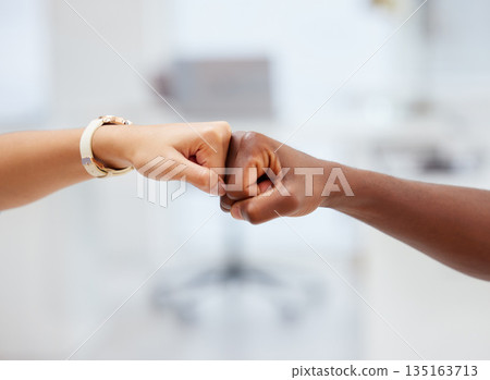 Closeup of people, hands and fist bump for success, winning teamwork and agreement for power. Friends, hand and emoji for collaboration, partnership and celebrate solidarity, support and cooperation 135163713