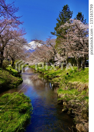 Cherry blossoms in Ogawa Cherry blossoms in Ogawa 135163799