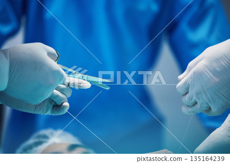 Surgery, hands and doctor cutting thread, stitching patient and surgical procedure with health insurance. People in medicine, surgeon with scissors and medical tools with collaboration in hospital 135164239