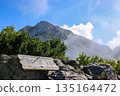 The summit of Mt. Kaikoma seen from Komatsumine 135164472